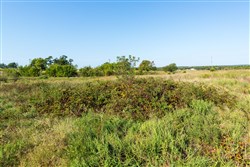 property photo for Canyon Creek Tract 4, 6.16 acres for sale in Lincoln County, Oklahoma