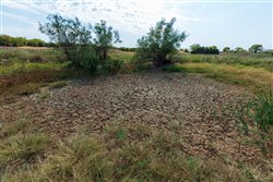 property photo for Canyon Creek Tract 5, 8.44 acres for sale in Lincoln County, Oklahoma