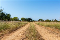 Canyon Creek Tract 6