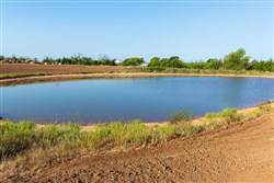 Canyon Creek Tract 6