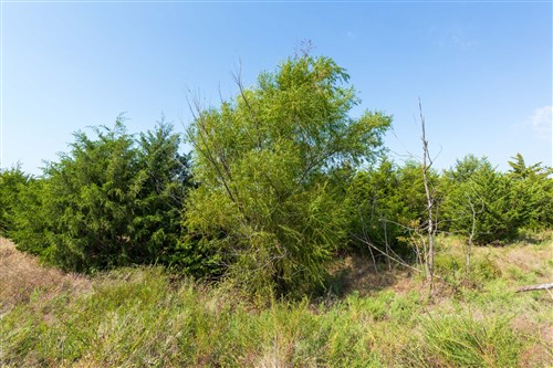 Canyon Creek Tract 6