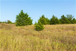 property photo for Canyon Creek Tract 7, 5.67 acres for sale in Lincoln County, Oklahoma