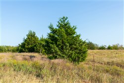 property photo for Canyon Creek Tract 7, 5.67 acres for sale in Lincoln County, Oklahoma