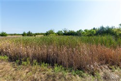 Canyon Creek Tract 8