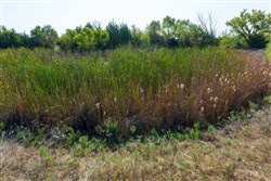 Canyon Creek Tract 8