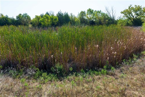 Canyon Creek Tract 8