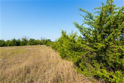 Canyon Creek Tract 8