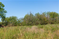 property photo for Canyon Creek Tract 9, 8.02 acres for sale in Lincoln County, Oklahoma