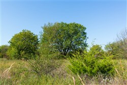 property photo for Canyon Creek Tract 9, 8.02 acres for sale in Lincoln County, Oklahoma