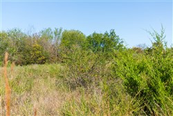property photo for Canyon Creek Tract 9, 8.02 acres for sale in Lincoln County, Oklahoma