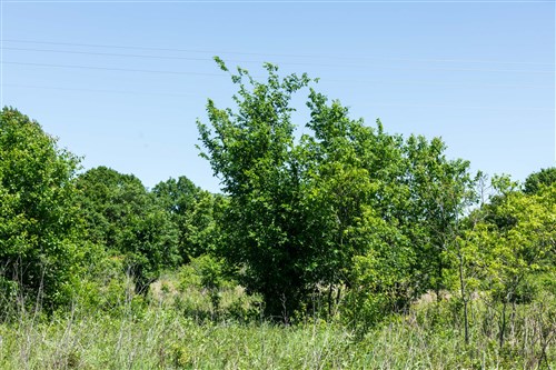 Starfield Acres Tract 1