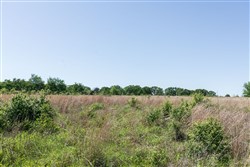 Starfield Acres Tract 1