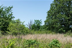 Starfield Acres Tract 1