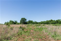 Starfield Acres Tract 1