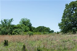 Starfield Acres Tract 1