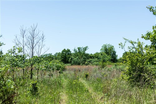 Starfield Acres Tract 10