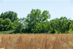 Starfield Acres Tract 10