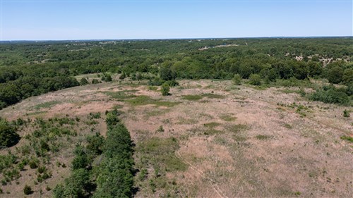 Starfield Acres Tract 10