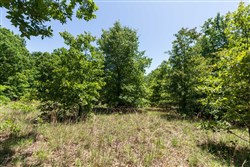 Starfield Acres Tract 10