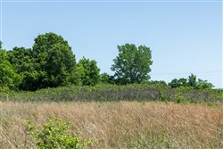 Starfield Acres Tract 10