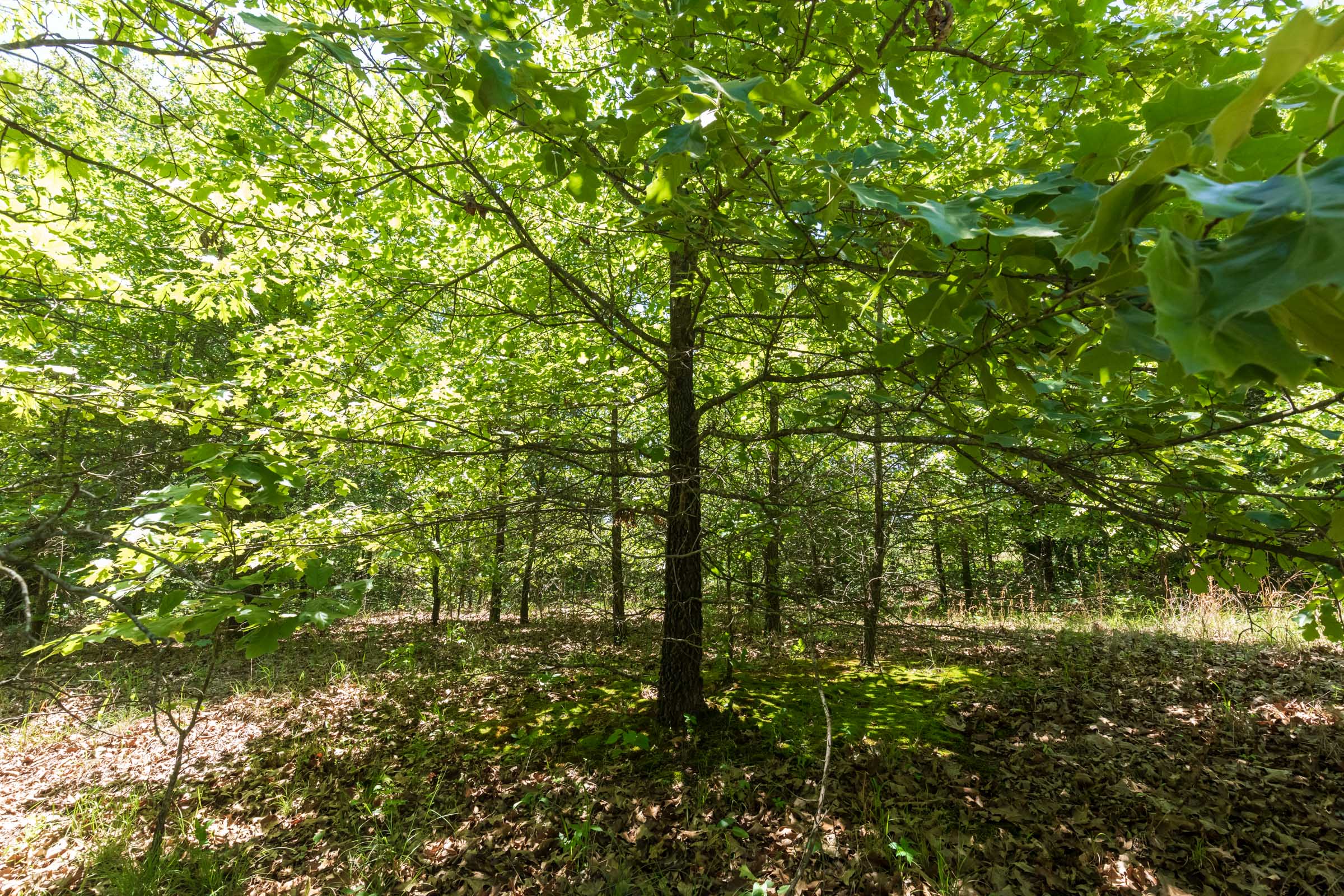 Tract 3 at Starfield Acres in Lincoln County, Oklahoma