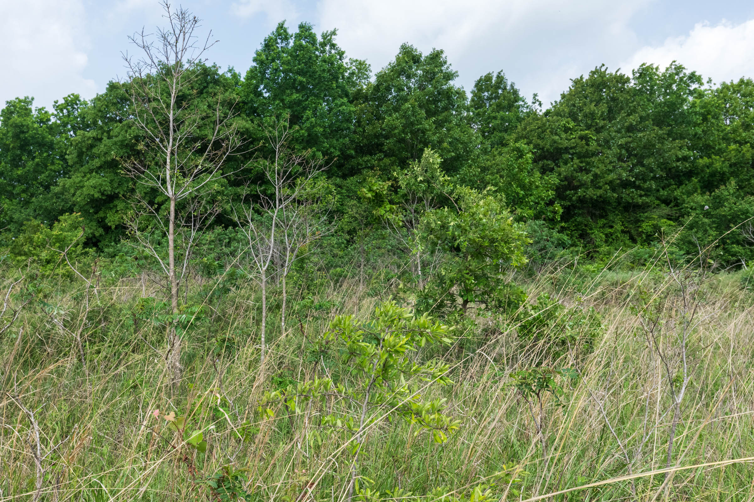 Tract 5 at Starfield Acres in Lincoln County, Oklahoma