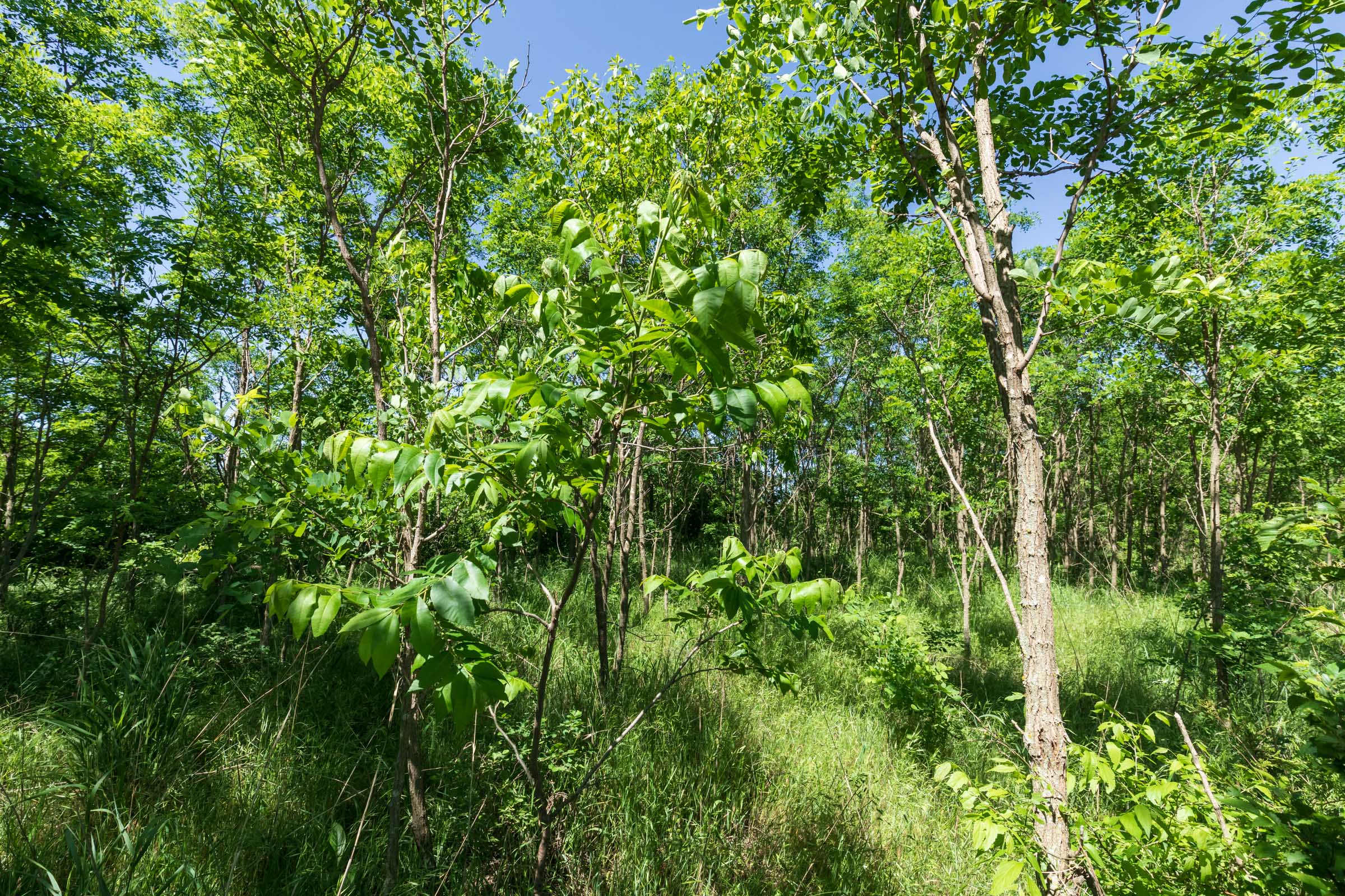 Tract 8 at Starfield Acres in Lincoln County, Oklahoma