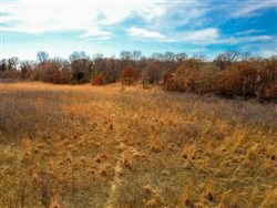 Legacy Ranch Tract 1