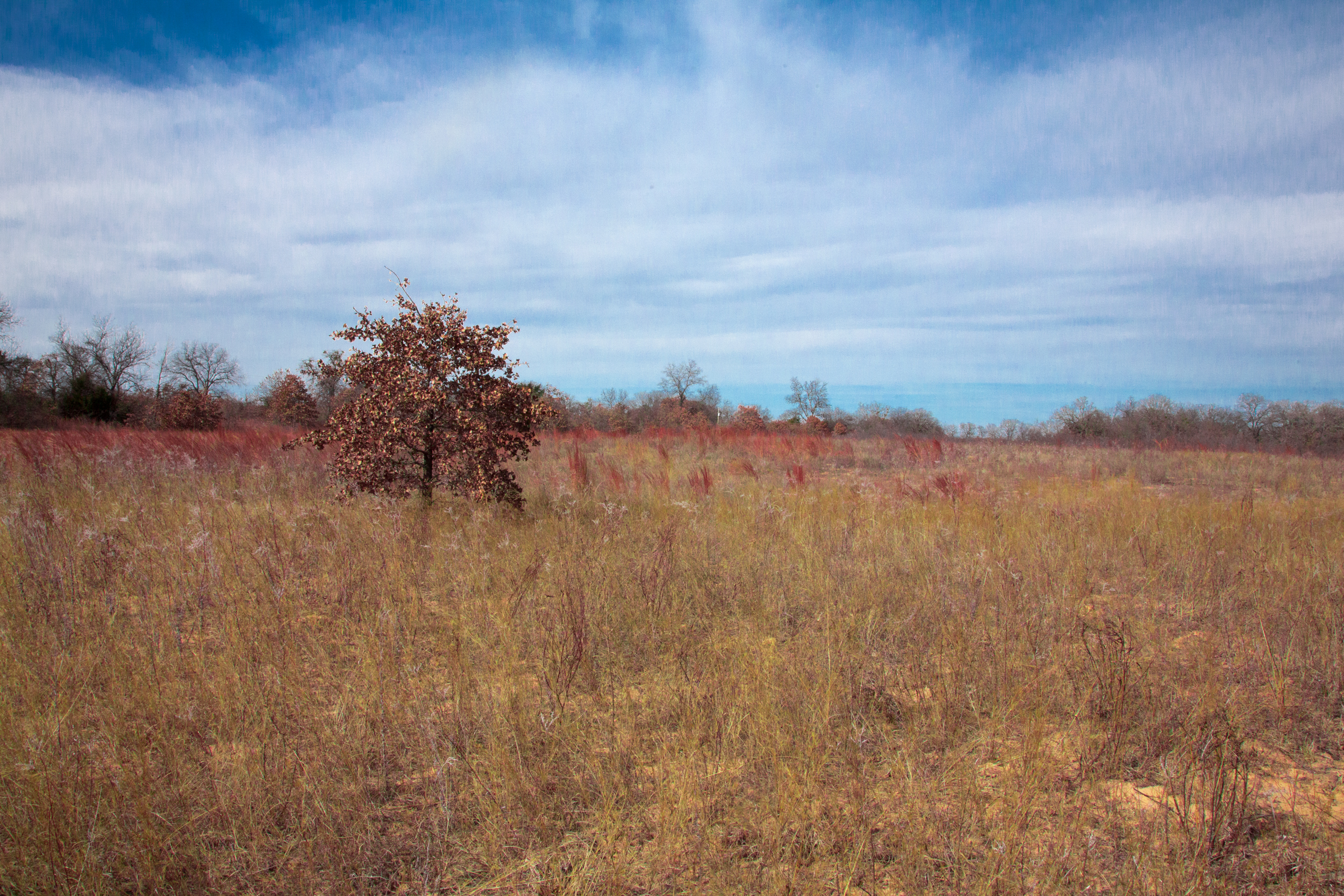 Tract 11 at Legacy Ranch in Love County, Oklahoma