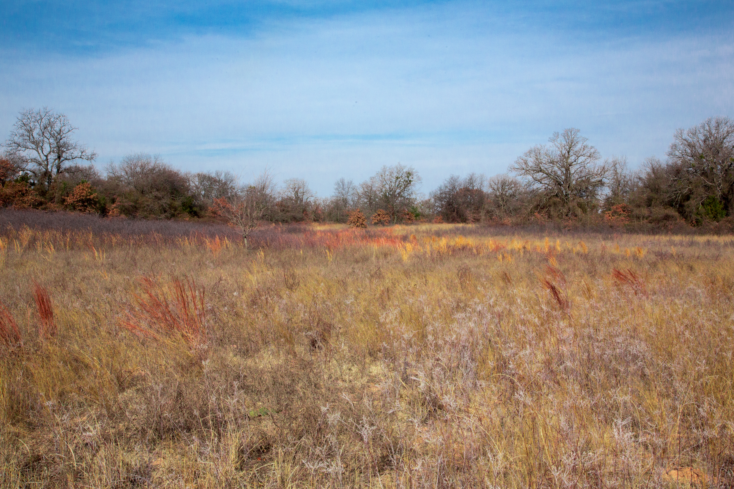 Tract 13 at Legacy Ranch in Love County, Oklahoma