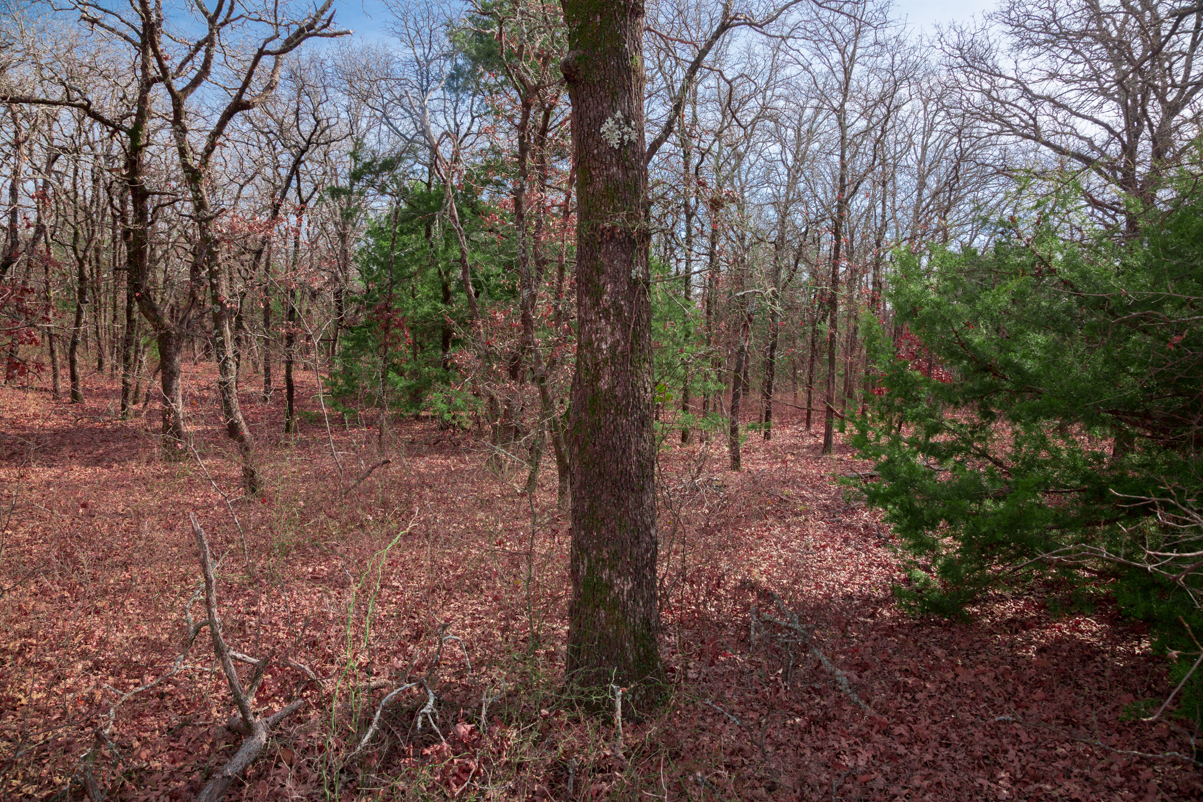 Tract 16 at Legacy Ranch in Love County, Oklahoma