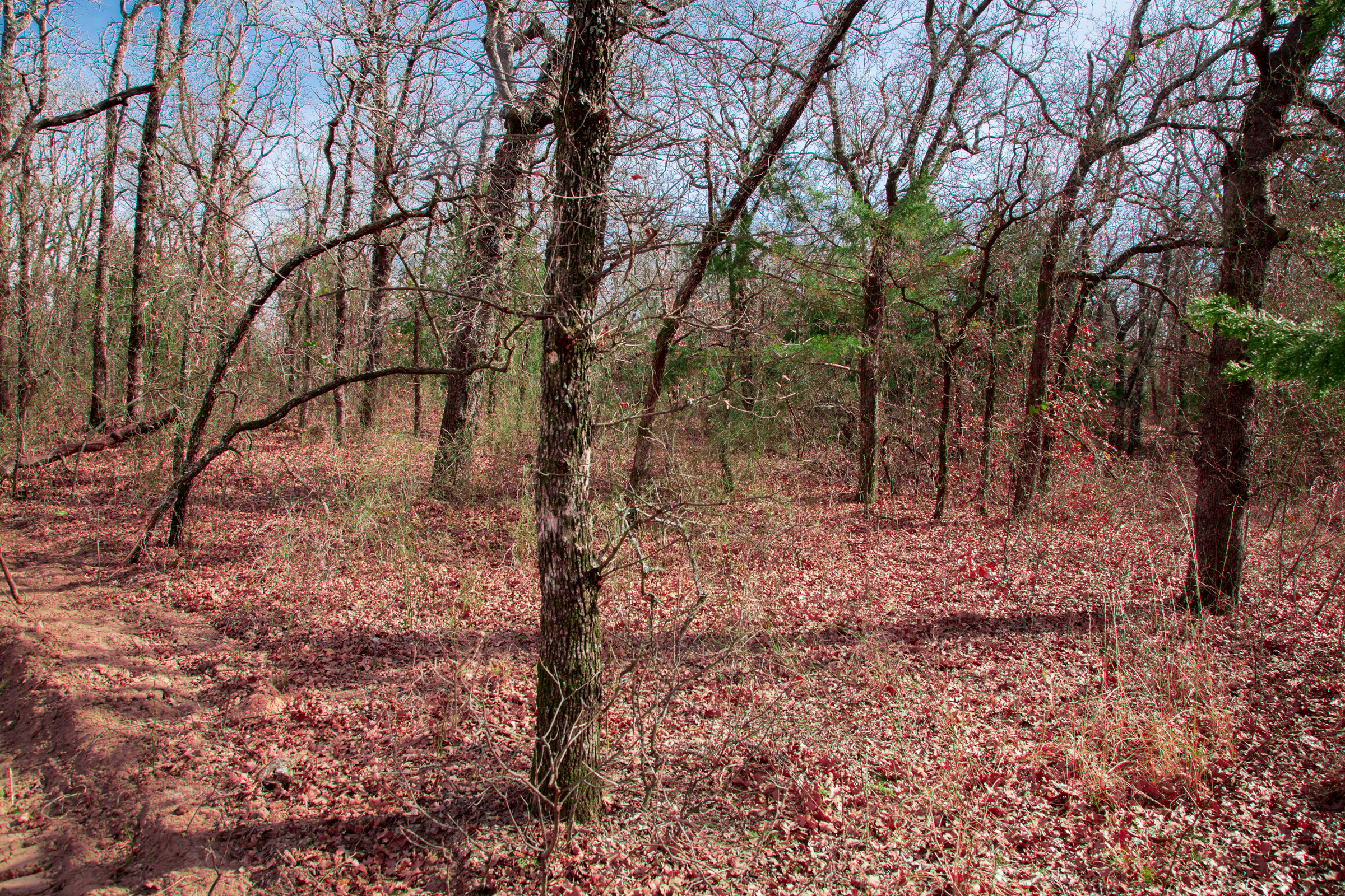 Tract 17 at Legacy Ranch in Love County, Oklahoma