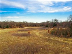 property photo for Legacy Ranch Tract 2, 5.66 acres for sale in Love County, Oklahoma
