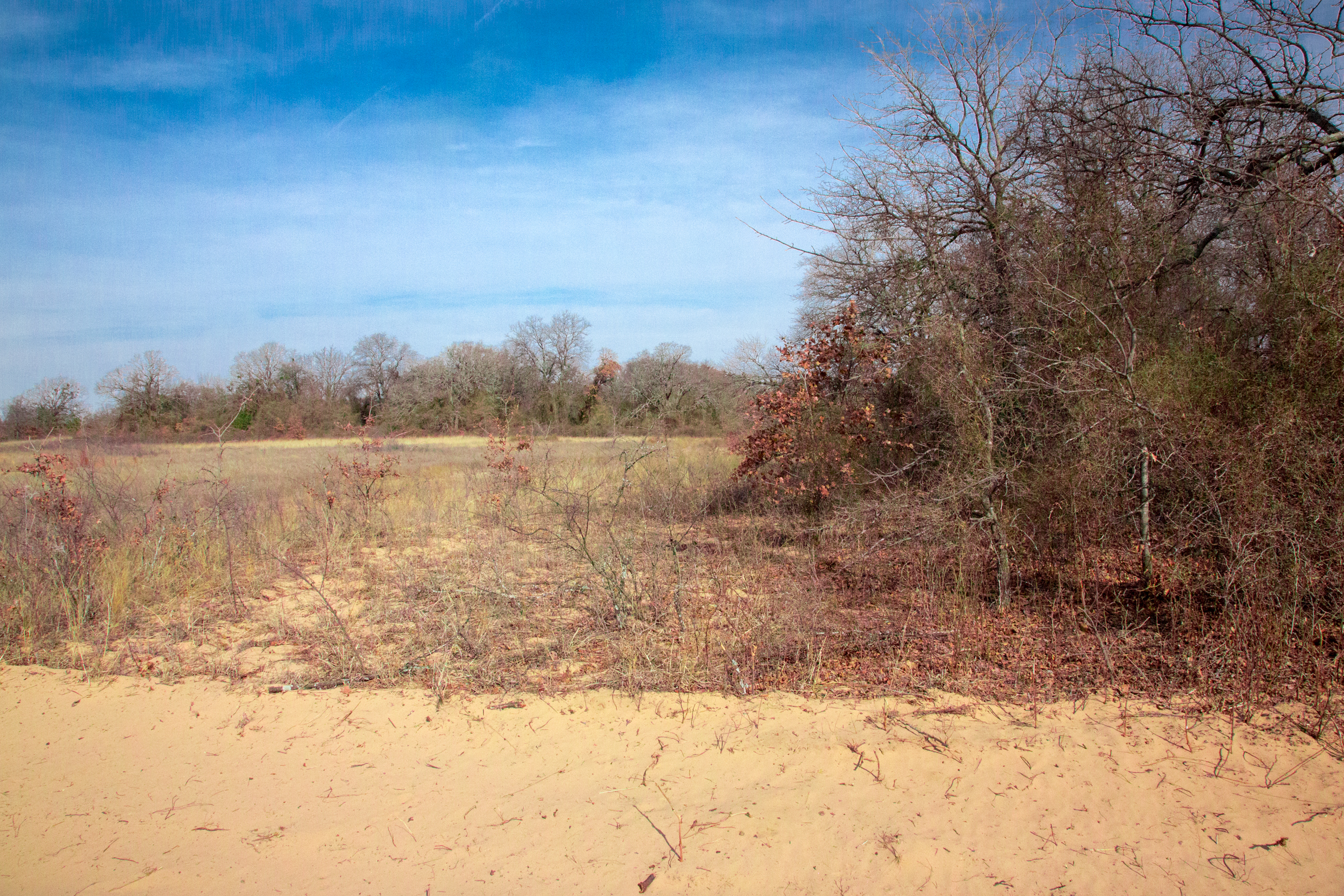 Tract 5 at Legacy Ranch in Love County, Oklahoma