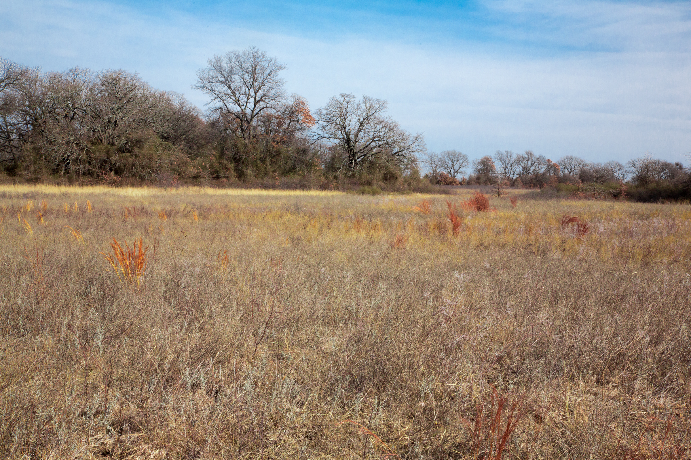 Tract 6 at Legacy Ranch in Love County, Oklahoma