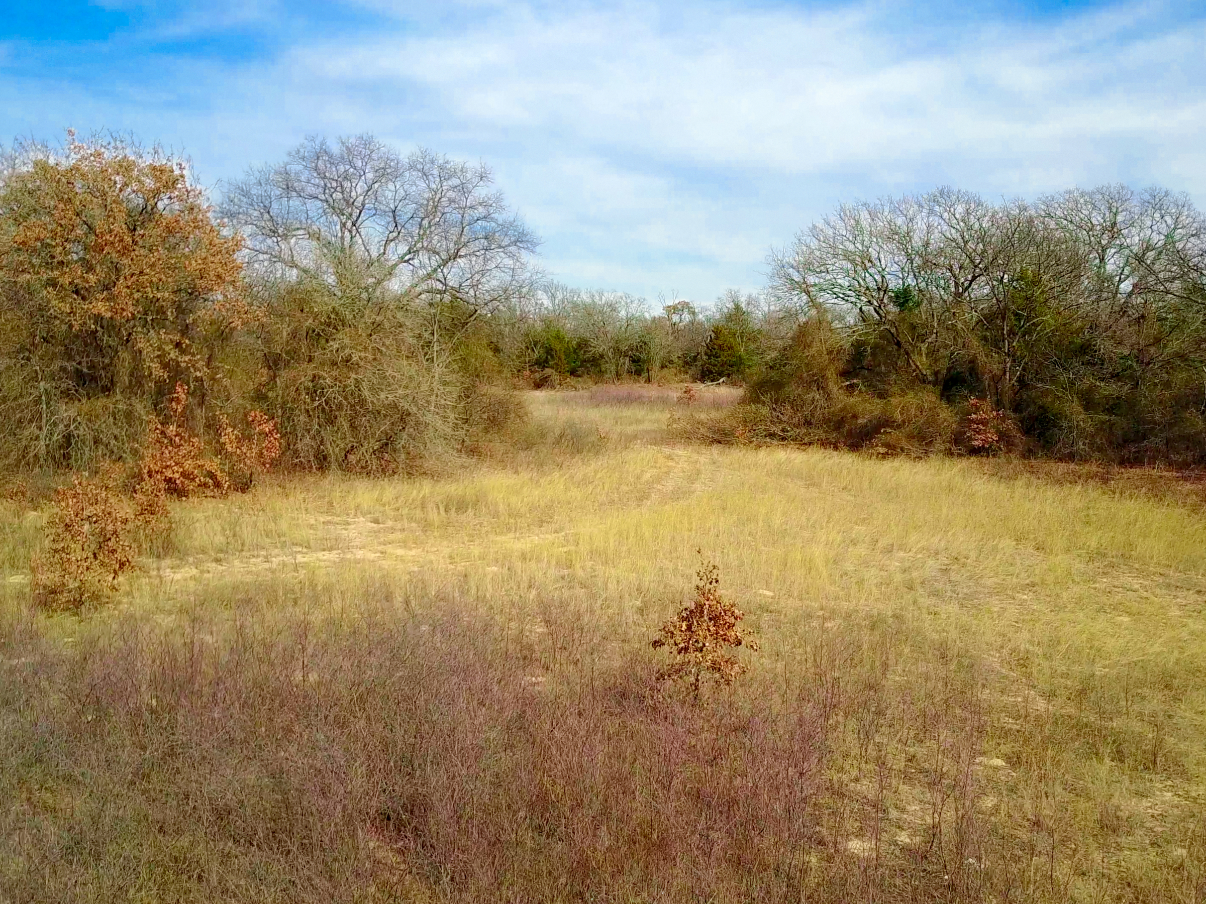 Tract 8 at Legacy Ranch in Love County, Oklahoma