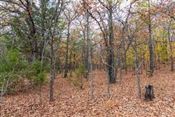 Crystal Springs Tract 1