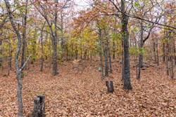 Crystal Springs Tract 1