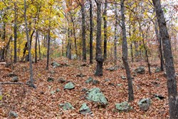 Crystal Springs Tract 1