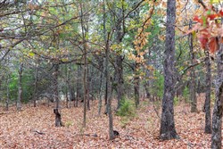 Crystal Springs Tract 1