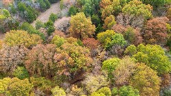 Crystal Springs Tract 10