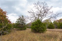 Crystal Springs Tract 10