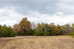 Crystal Springs Tract 10