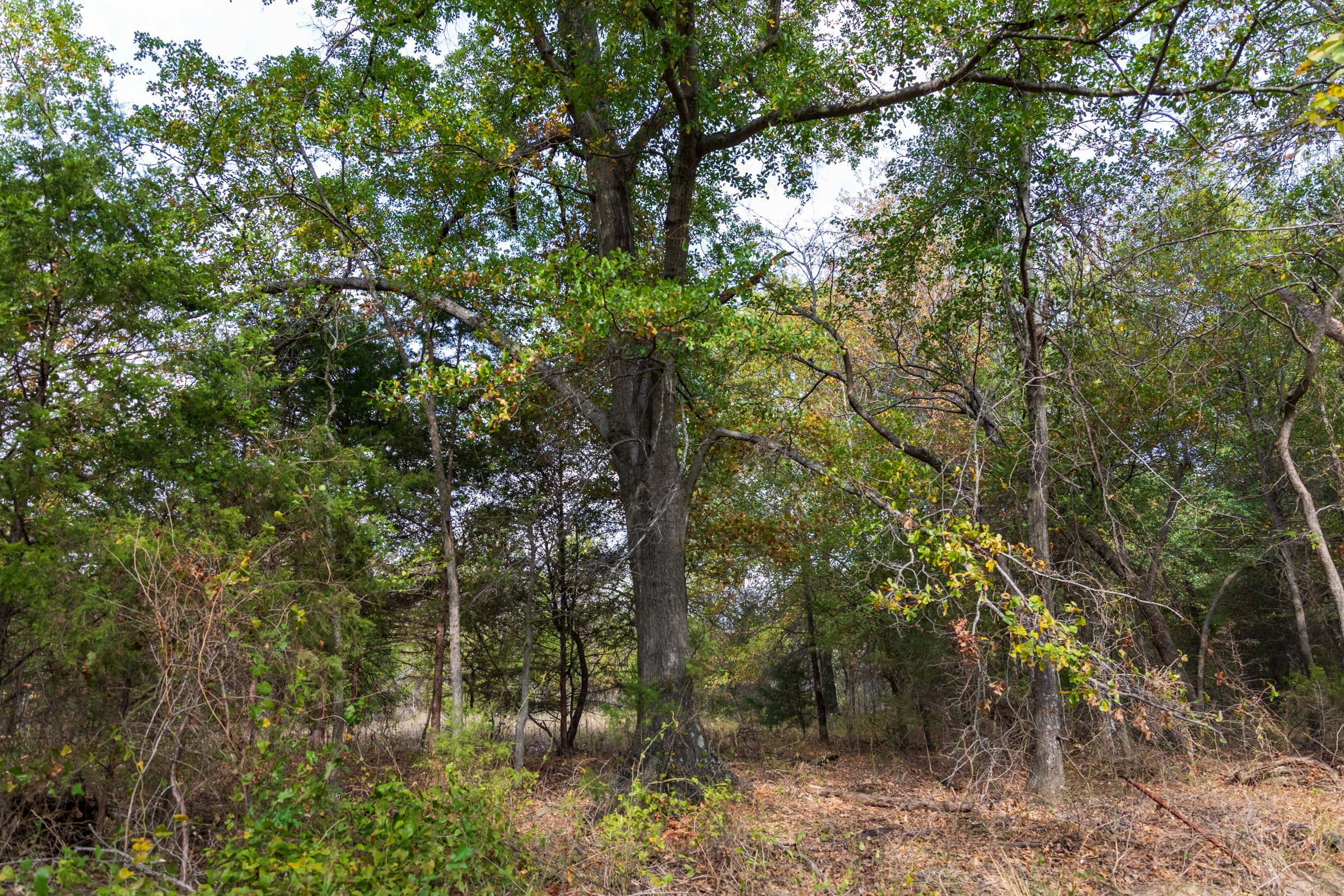 Tract 11 at Crystal Springs in McIntosh County, Oklahoma