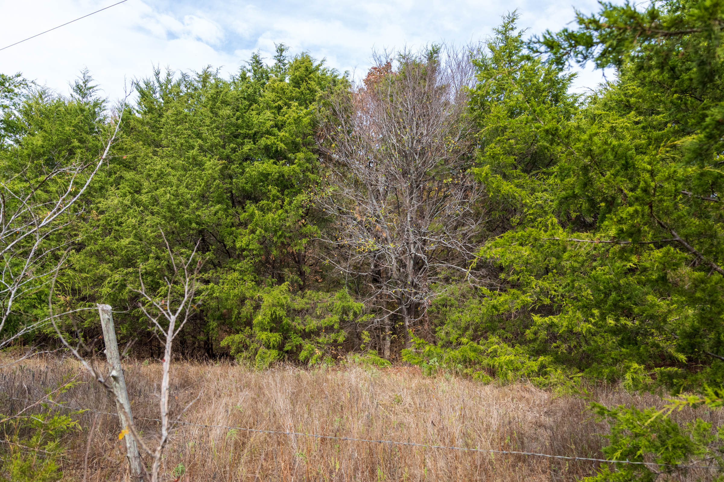 Tract 12 at Crystal Springs in McIntosh County, Oklahoma