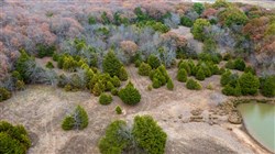 property photo for Crystal Springs Tract 4, 5.93 acres for sale in McIntosh County, Oklahoma
