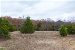property photo for Crystal Springs Tract 4, 5.93 acres for sale in McIntosh County, Oklahoma