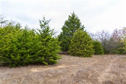 property photo for Crystal Springs Tract 4, 5.93 acres for sale in McIntosh County, Oklahoma
