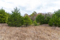 property photo for Crystal Springs Tract 4, 5.93 acres for sale in McIntosh County, Oklahoma