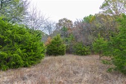 property photo for Crystal Springs Tract 4, 5.93 acres for sale in McIntosh County, Oklahoma